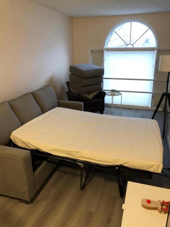 דירות קאנמור Unit #201 Cozy Mountain View 1Br In Dt מראה חיצוני תמונה